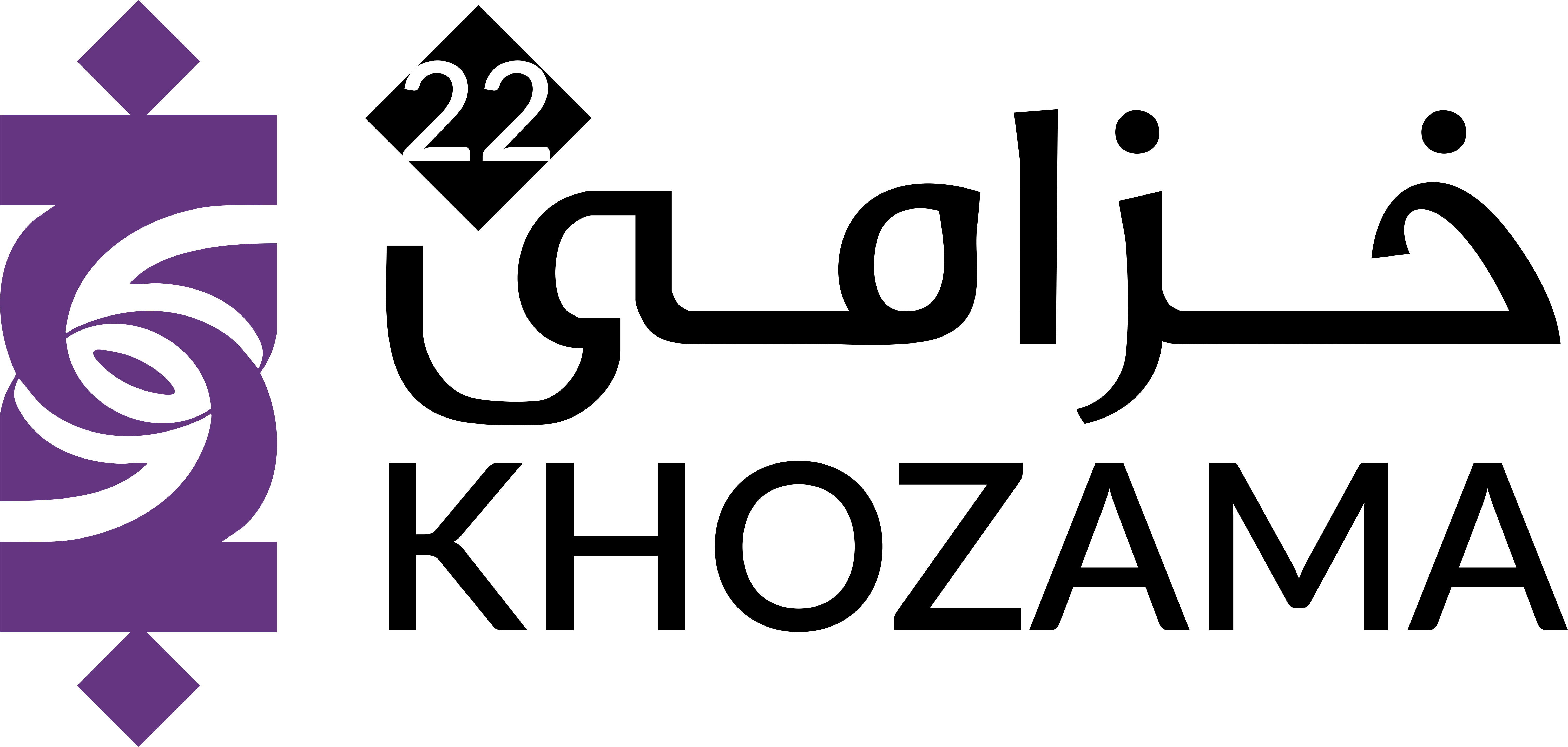 developer